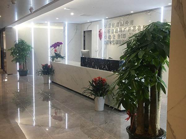 成功案例